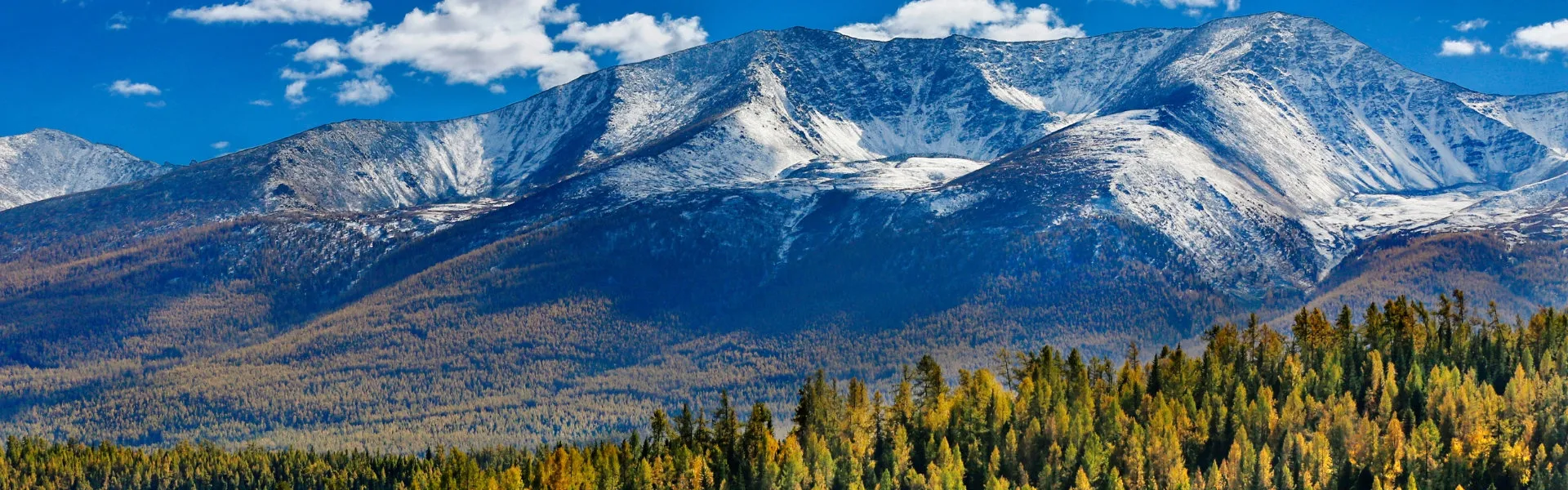 Xinjiang Tours