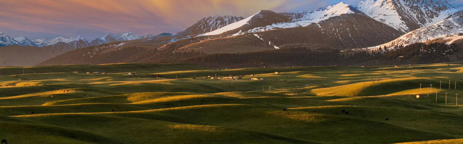 Xinjiang Tours