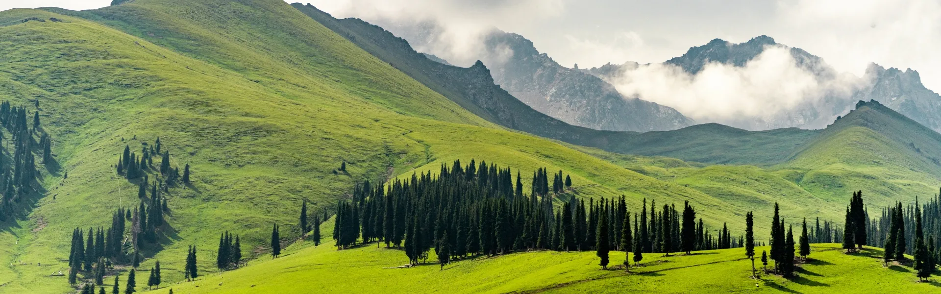 Xinjiang Tours