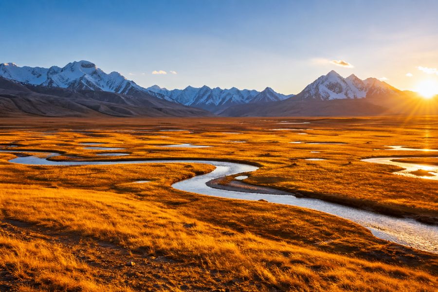 Golden Grassland Tashkurgan wetland at sunset with golden meadow and snow mountains