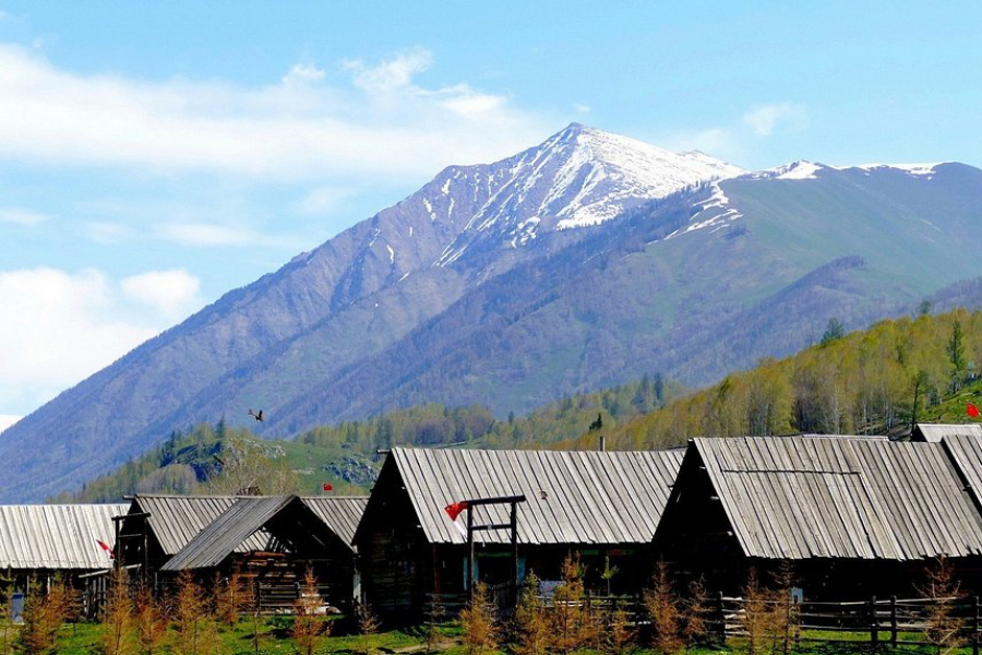 Hemu Village autumn sunrise with wooden houses and birch forest in Northern Xinjiang