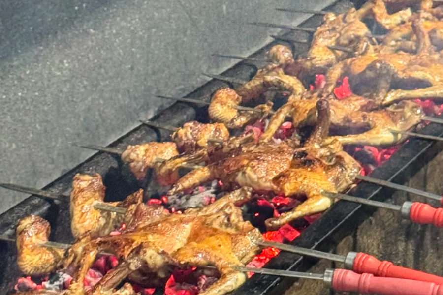 Crispy skin roast pigeon in Kashgar with open-fire grilling texture Crispy skin roast pigeon in Kashgar with open-fire grilling texture
