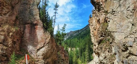 Expedition-style Altay off-road travel through forest roads and mountain terrain Expedition-style Altay off-road travel through forest roads and mountain terrain