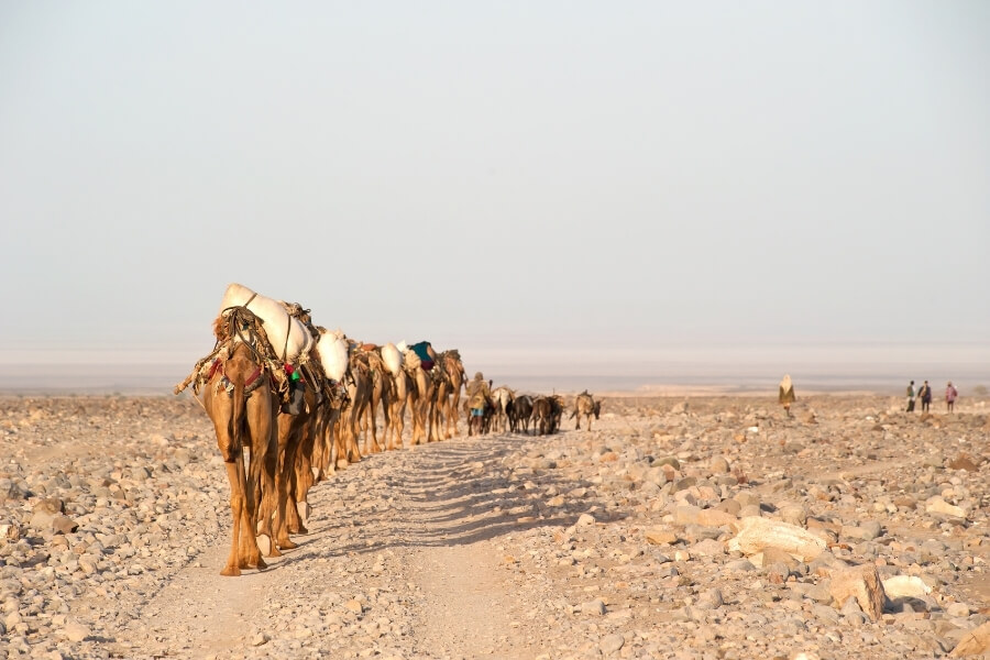 Silk Road panoramic view from Xi'an to Kashgar with camel caravan and desert landscapes