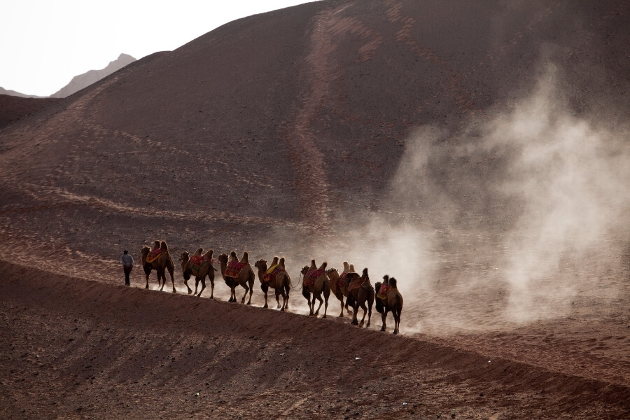 Slow cultural journey through western China for Monkey year travelers