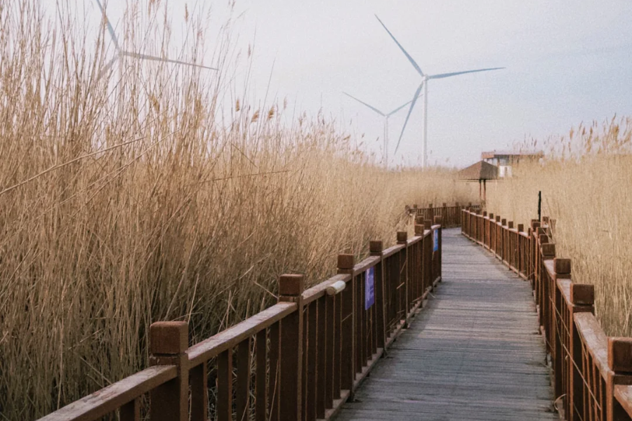 Chaiwopu Lake Wetland Park Guide