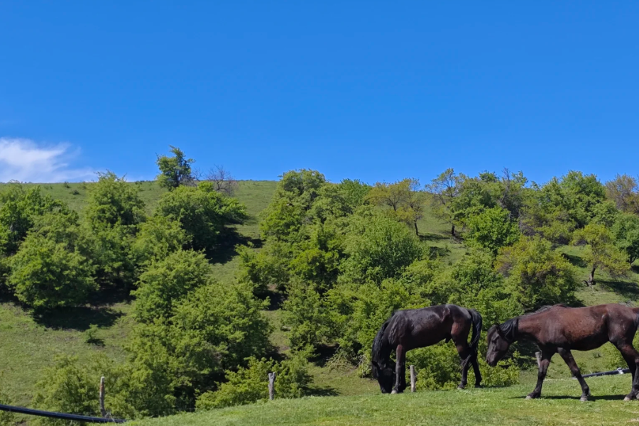 Fushoushan Farm Travel Guide in Taiwan