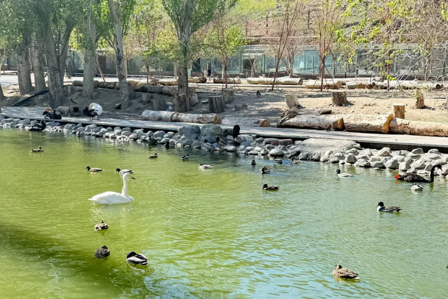 Tianshan Wildlife Park Travel
