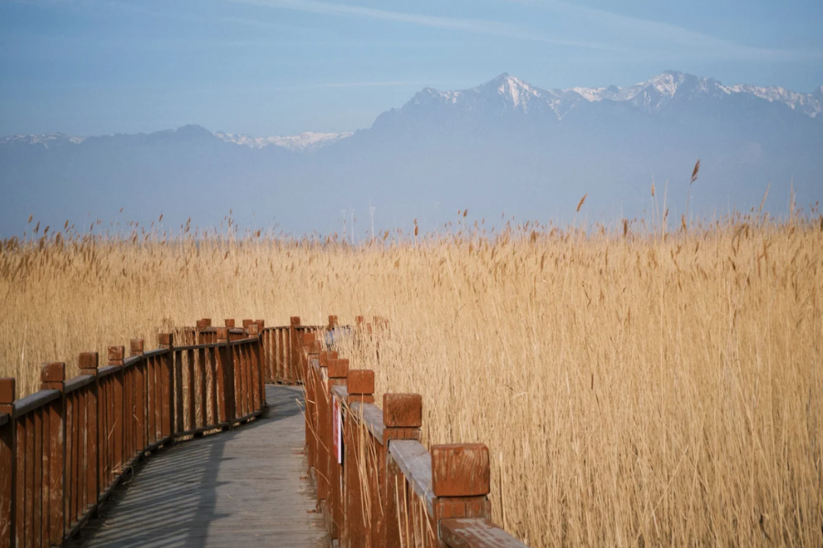 Plan a visit to Chaiwopu Lake National Wetland Park near Ürümqi with practical tips on timing, transport, sunset photography, and route planning.