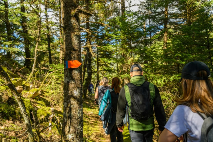 Altay Forest Hiking.jpg