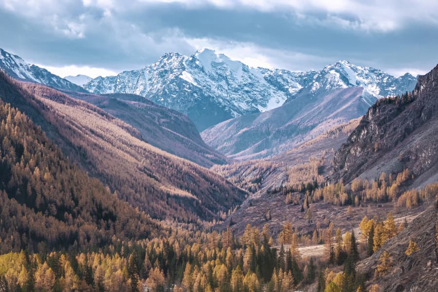 Altay Forest Hiking (2).jpg
