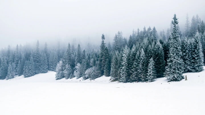 Altay snowfield photography scene with wooden cabins and winter sunrise in Xinjiang